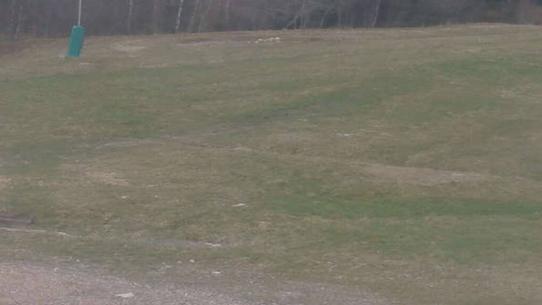 Chalmazel - Les Campanules