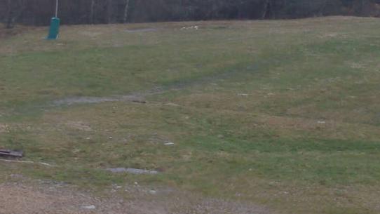 Chalmazel - Les Campanules