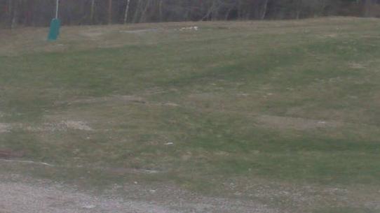 Chalmazel - Les Campanules