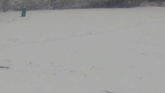 Chalmazel - Les Campanules