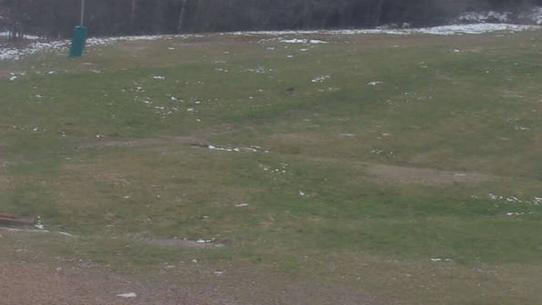 Chalmazel - Les Campanules