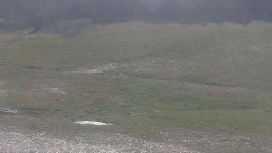 Chalmazel - Les Campanules