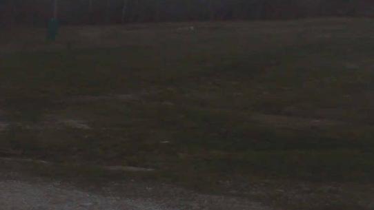 Chalmazel - Les Campanules