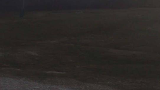 Chalmazel - Les Campanules