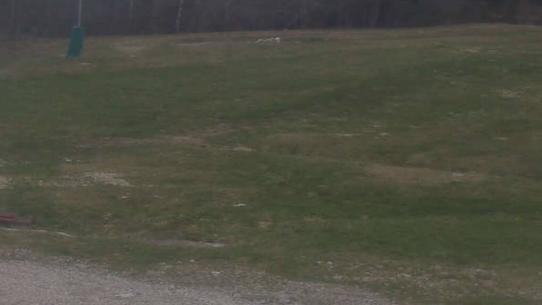 Chalmazel - Les Campanules