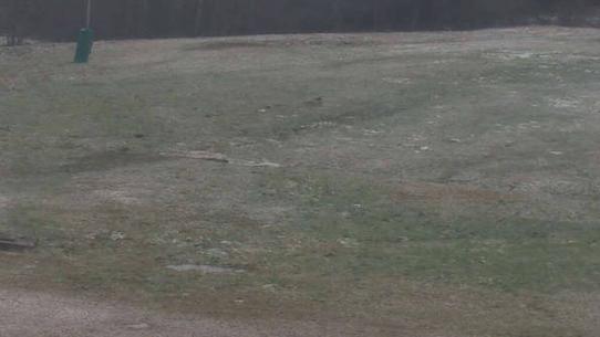 Chalmazel - Les Campanules