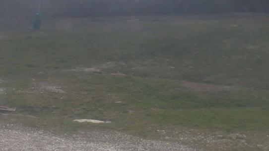 Chalmazel - Les Campanules