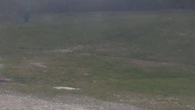 Chalmazel - Les Campanules