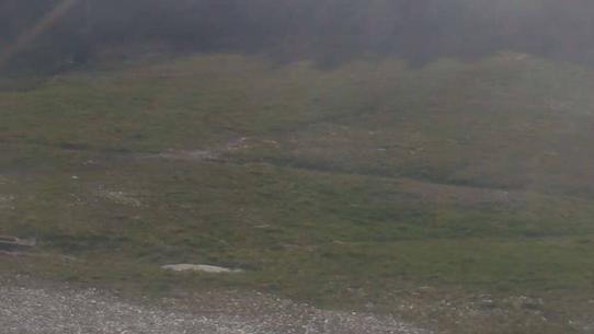 Chalmazel - Les Campanules