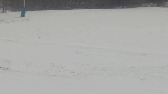 Chalmazel - Les Campanules