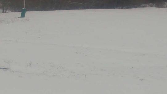 Chalmazel - Les Campanules