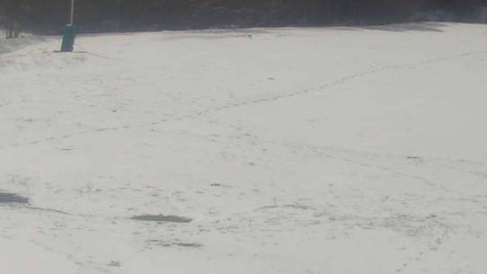 Chalmazel - Les Campanules