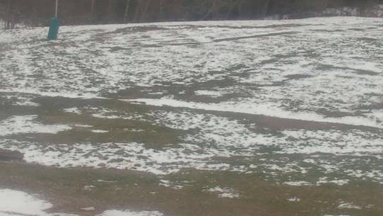 Chalmazel - Les Campanules