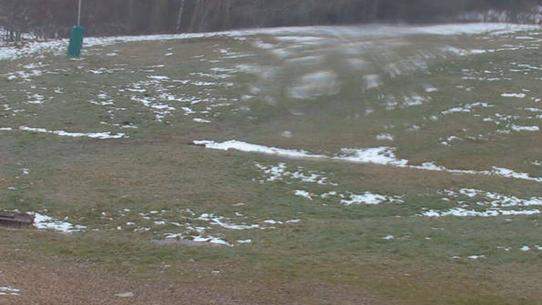 Chalmazel - Les Campanules