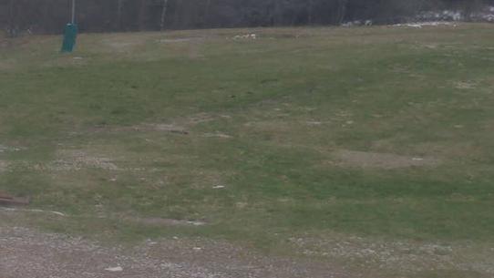 Chalmazel - Les Campanules