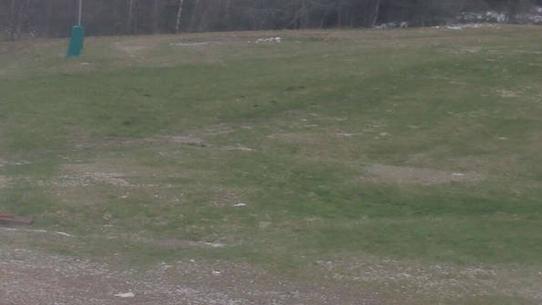 Chalmazel - Les Campanules