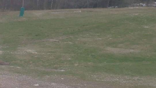 Chalmazel - Les Campanules