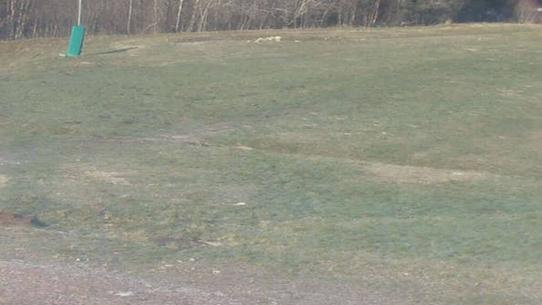 Chalmazel - Les Campanules