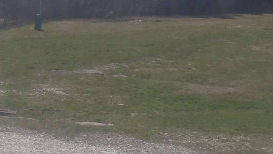 Chalmazel - Les Campanules