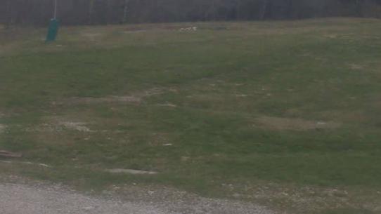 Chalmazel - Les Campanules