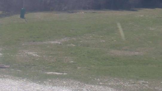 Chalmazel - Les Campanules