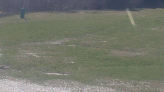 Chalmazel - Les Campanules