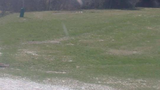 Chalmazel - Les Campanules