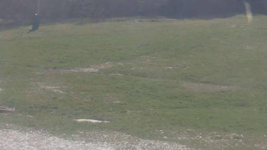 Chalmazel - Les Campanules