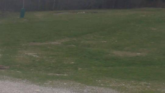 Chalmazel - Les Campanules