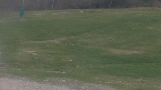 Chalmazel - Les Campanules