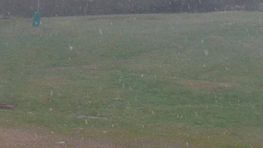 Chalmazel - Les Campanules