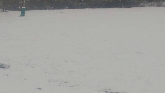 Chalmazel - Les Campanules