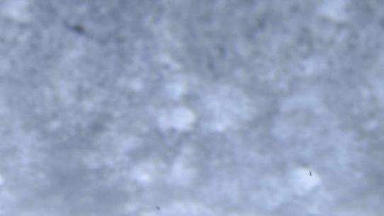 Manigod - Domaine de Merdassier