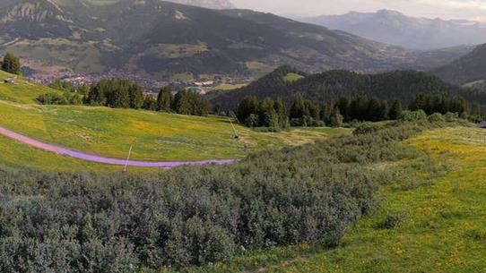 Praz sur Arly - Sommet Cret du Midi