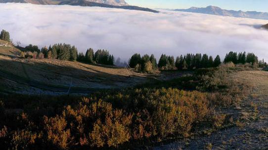 Praz sur Arly - Sommet Cret du Midi