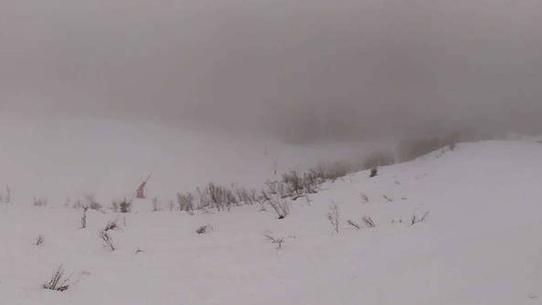 Praz sur Arly - Sommet Cret du Midi