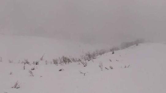 Praz sur Arly - Sommet Cret du Midi