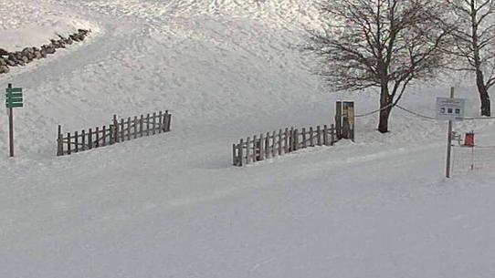 Corrençon - Plateau nordique