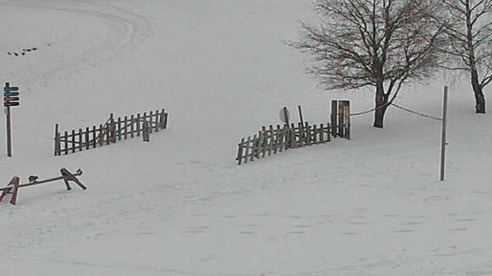 Corrençon - Plateau nordique