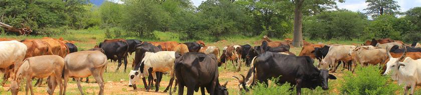  Infos <strong>pratiques</strong> 