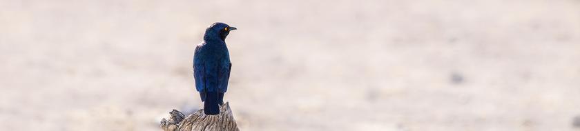  Infos <strong>pratiques</strong> 