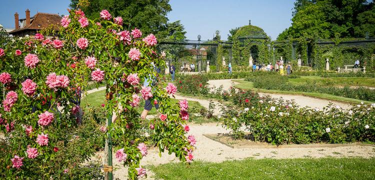 meteo Francia L'Haÿ-les-Roses