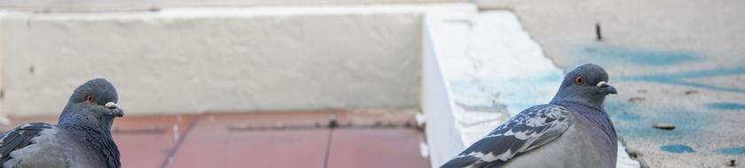  Infos <strong>pratiques</strong> 