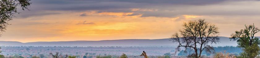  Infos <strong>pratiques</strong> 