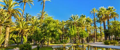 meteo Espagne Elche