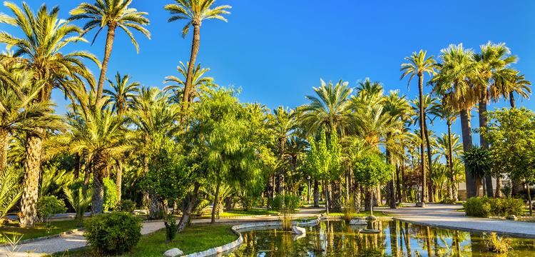 weather Spain Elche