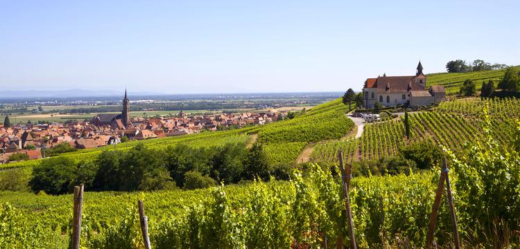 weather France Dambach-la-Ville
