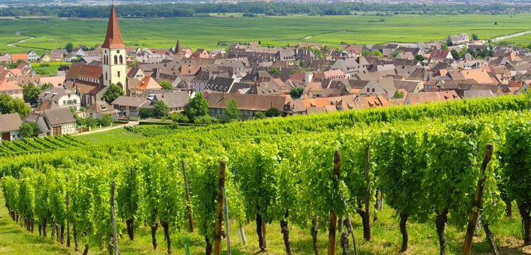 meteo Francia Ammerschwihr