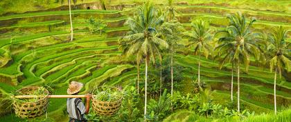 meteo Inde Bali