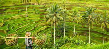 meteo Inde Bali